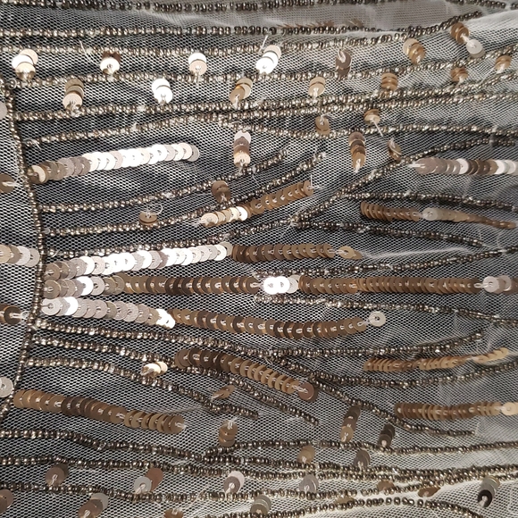 Hollister sheer mesh top with sequins - Picture 2 of 4